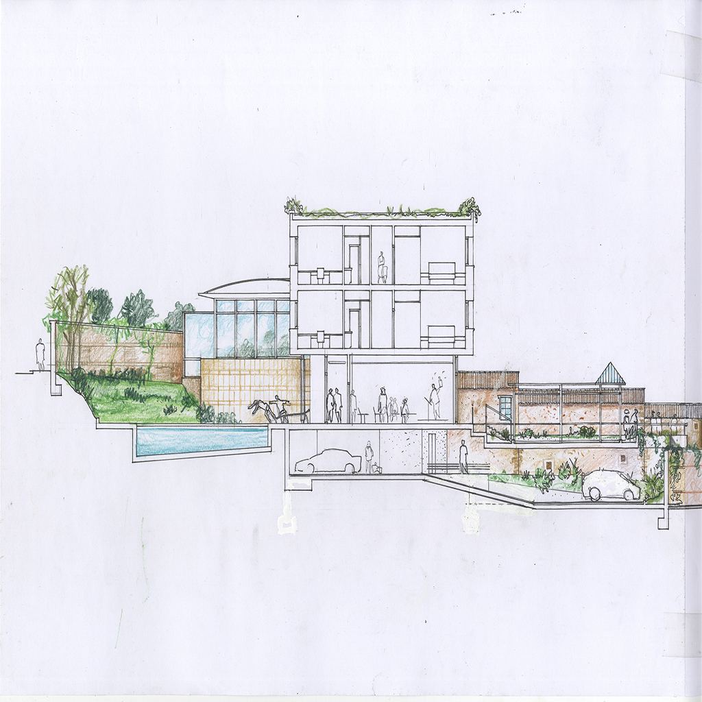 diseño007